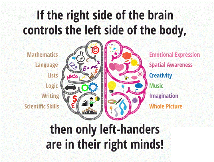 65 Left Handed Facts: Which Ones Are Right? - Facts.net
