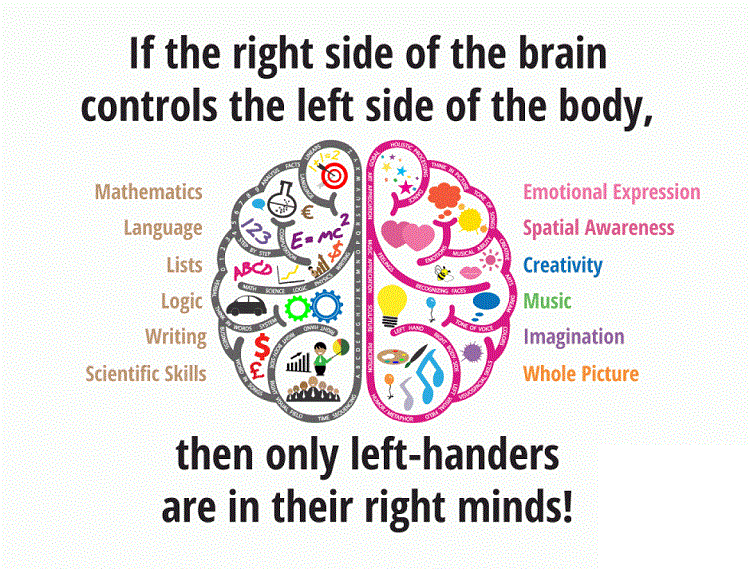 Why Are People Left- (or Right-) Handed?