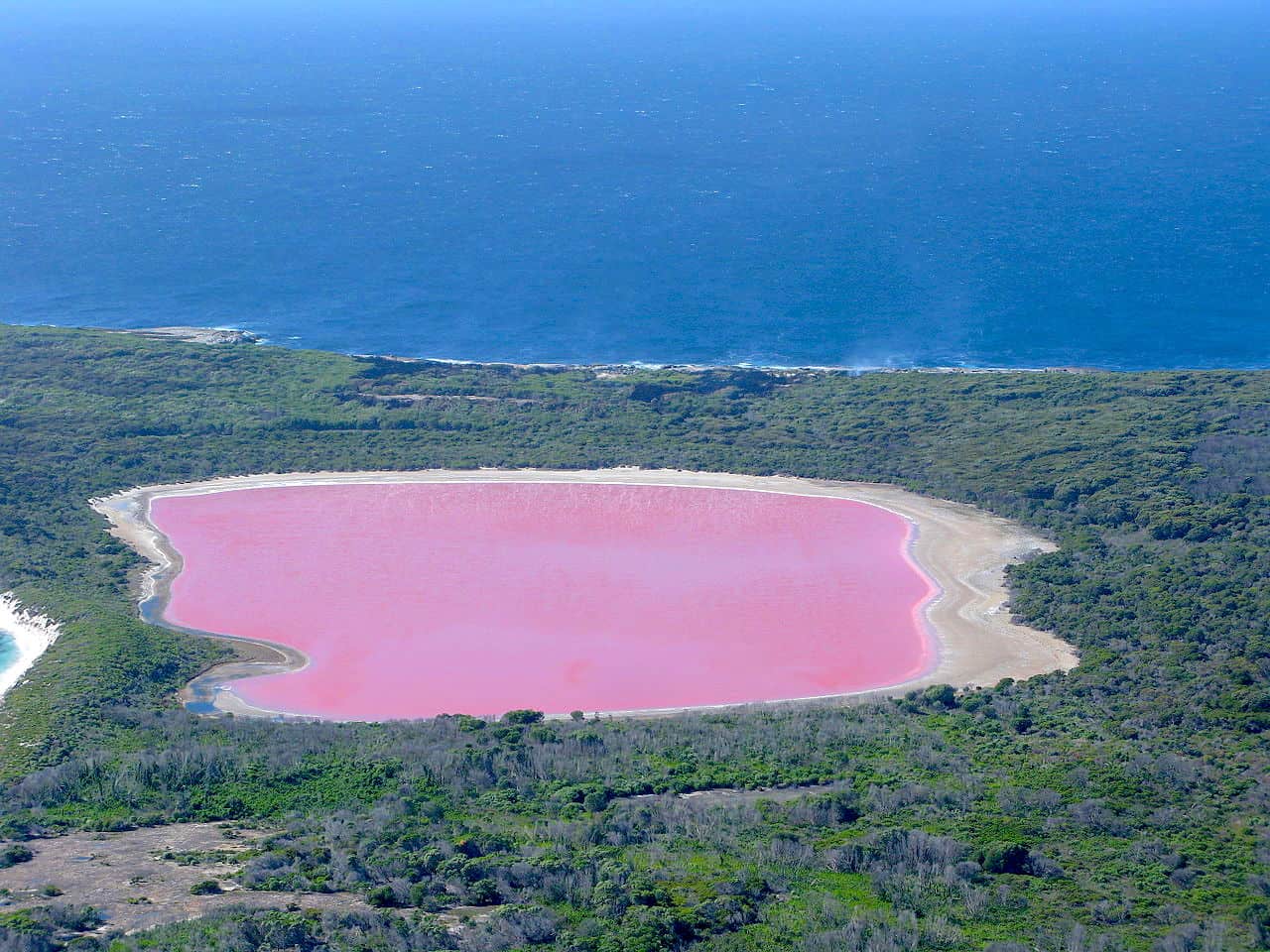 Pink lake, Australia