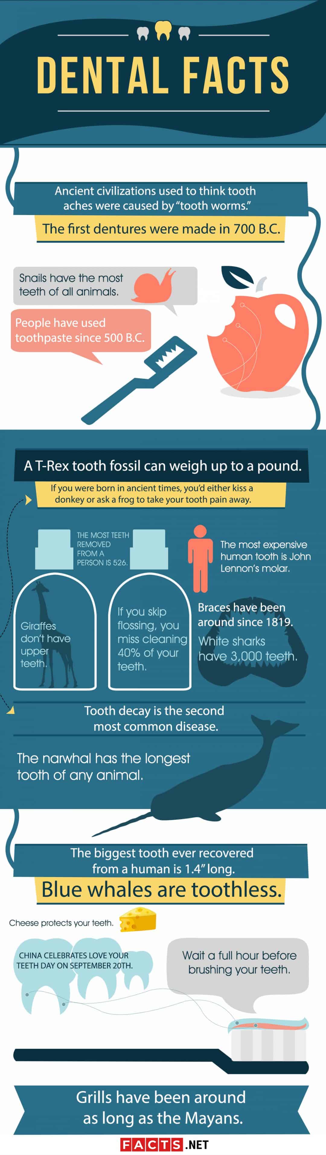 40 Dental Facts That Will Make You Say "Ahh" - Facts.net