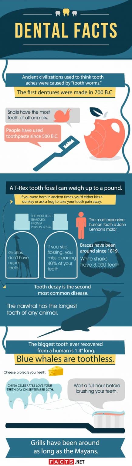 40 Dental Facts That Will Make You Say 