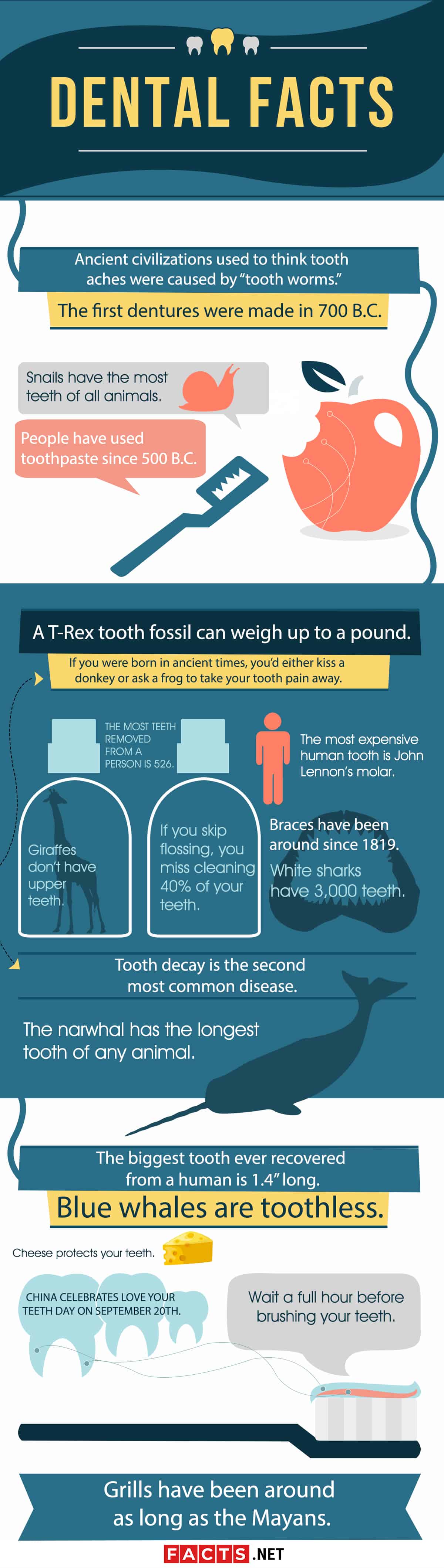 40 Dental Facts That Will Make You Say Ahh Facts Net