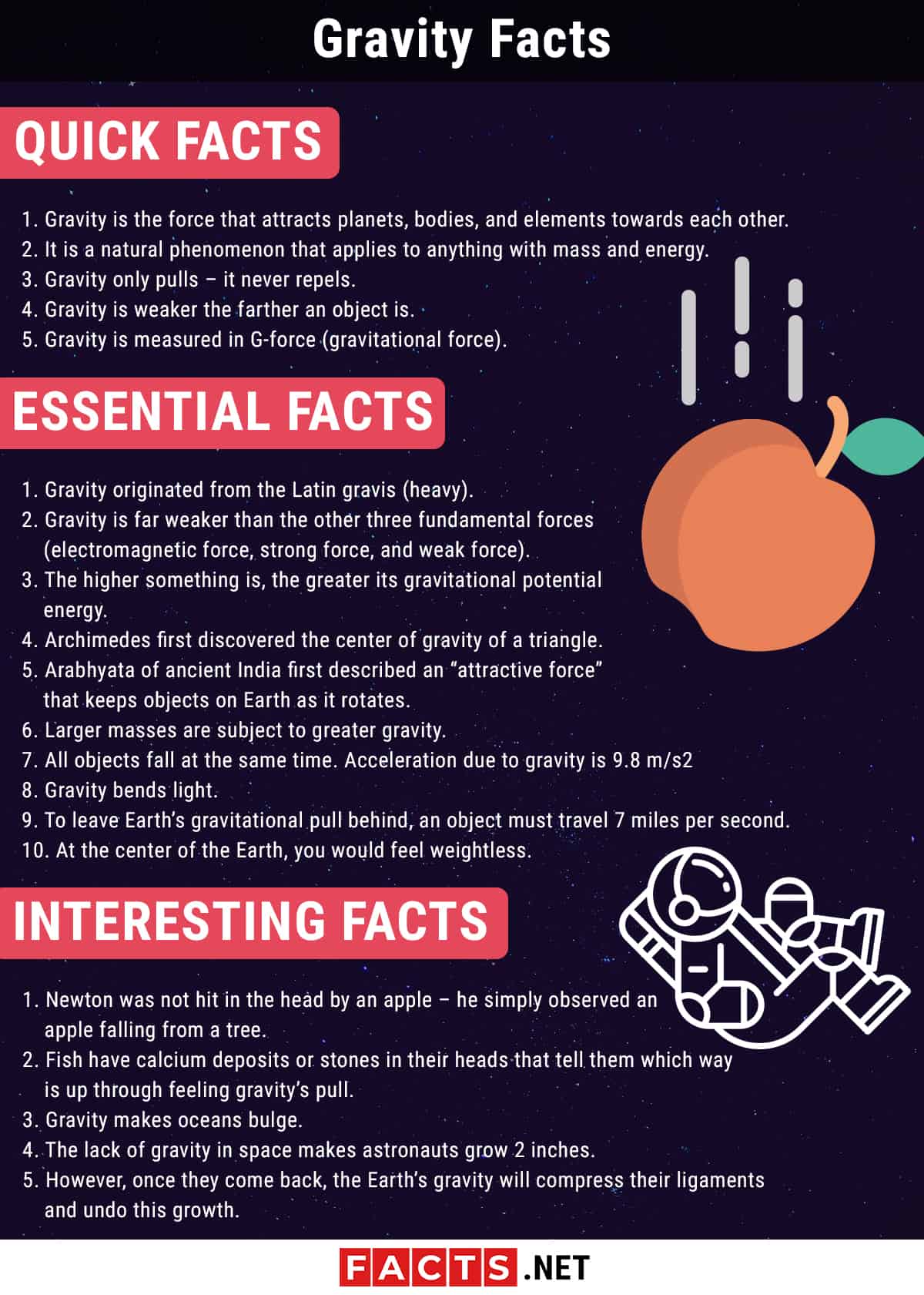 Facts about Gravity  Science with Kids.com