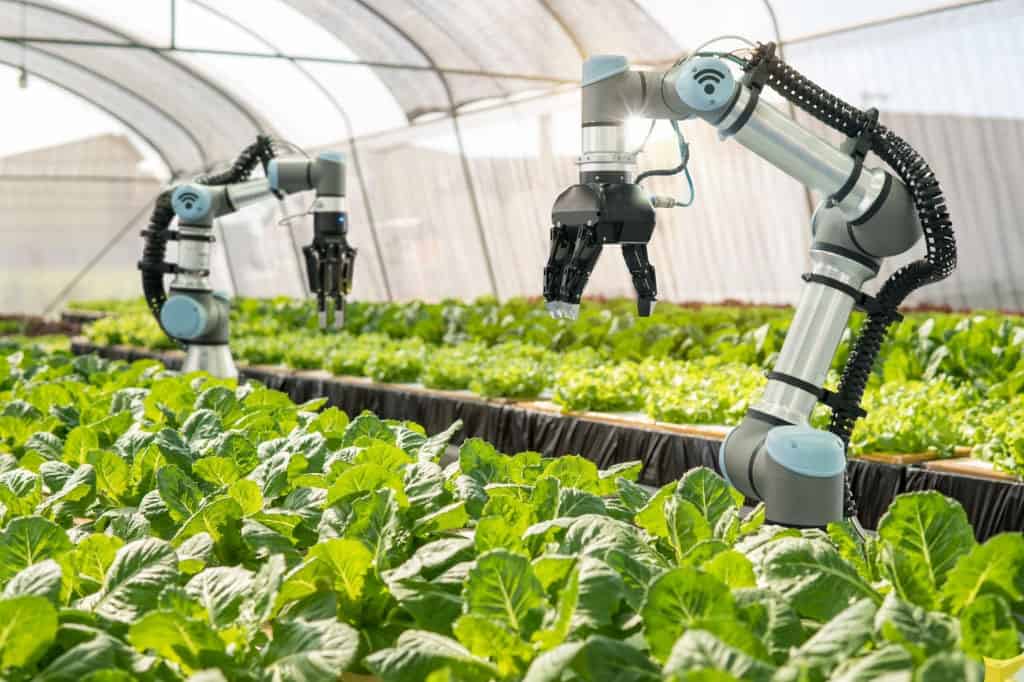 robots harvesting crops, robot farmers