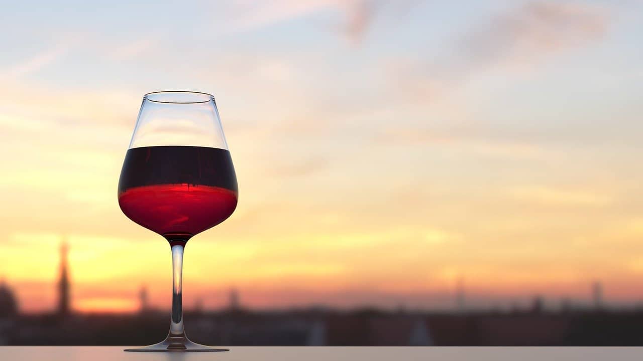 wine glass, wine facts