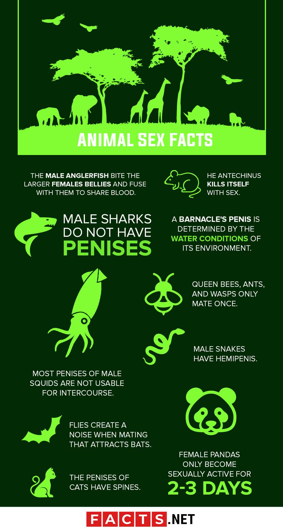 30 Animal Sex Facts & Secrets You Never Knew 