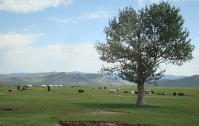 80 Mongolia Facts The Land Of The Eternal Blue Sky 