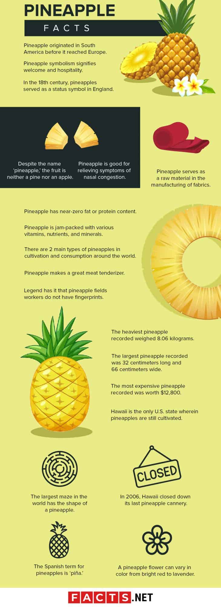 50 Delicious Pineapple Facts For You To Find Out