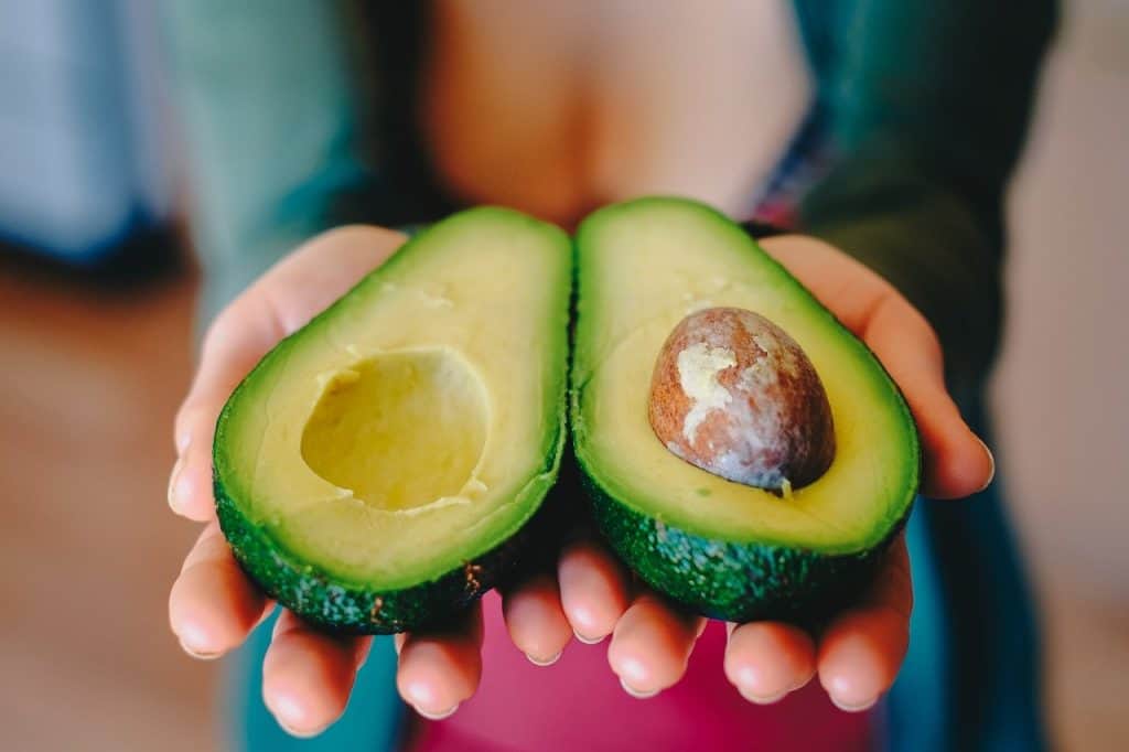 50 Important Avocado Facts You Must Know Immediately | Facts.net