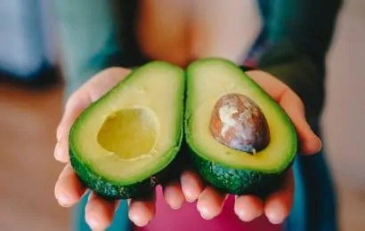 50 Important Avocado Facts You Must Know Immediately 