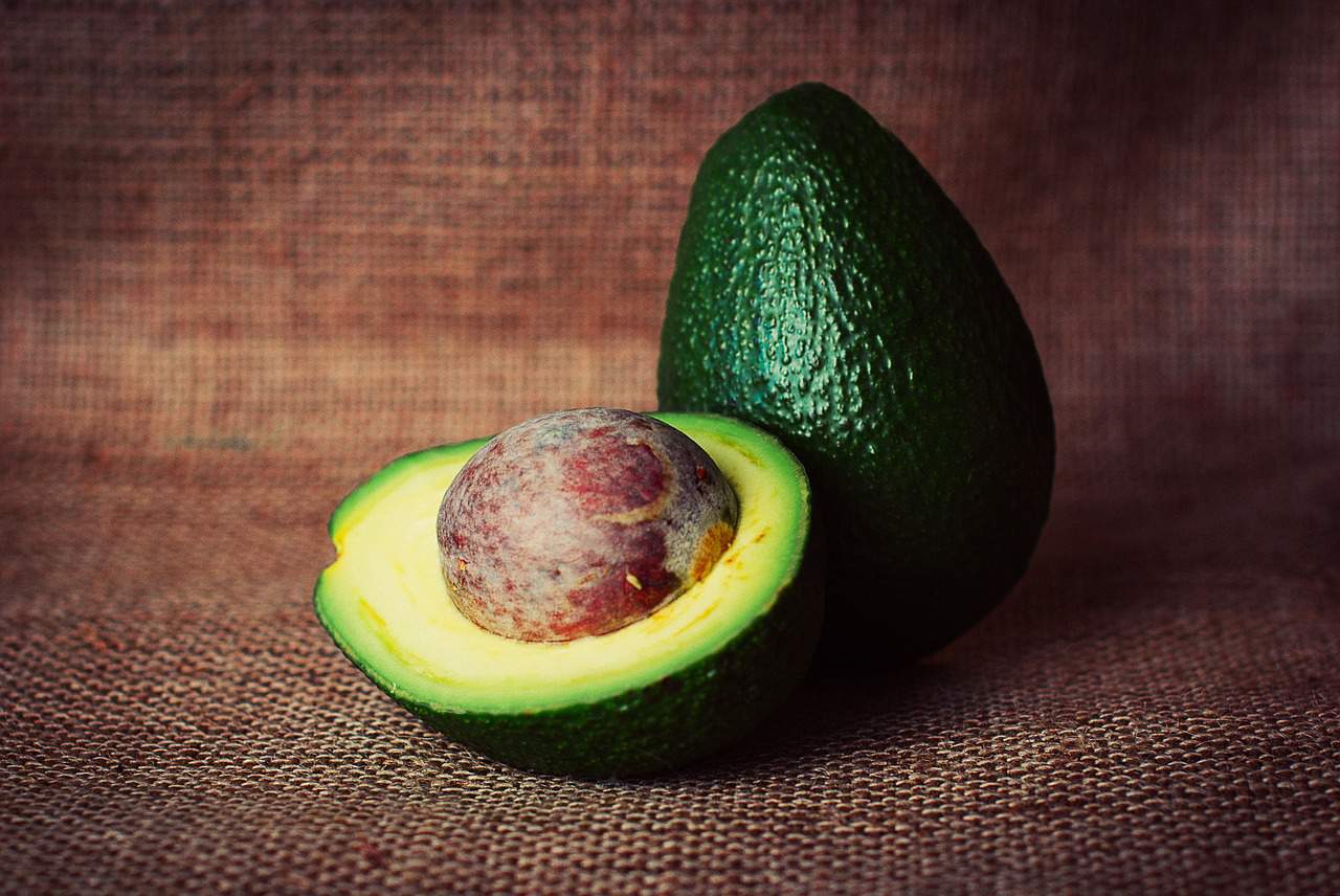 avocado seed