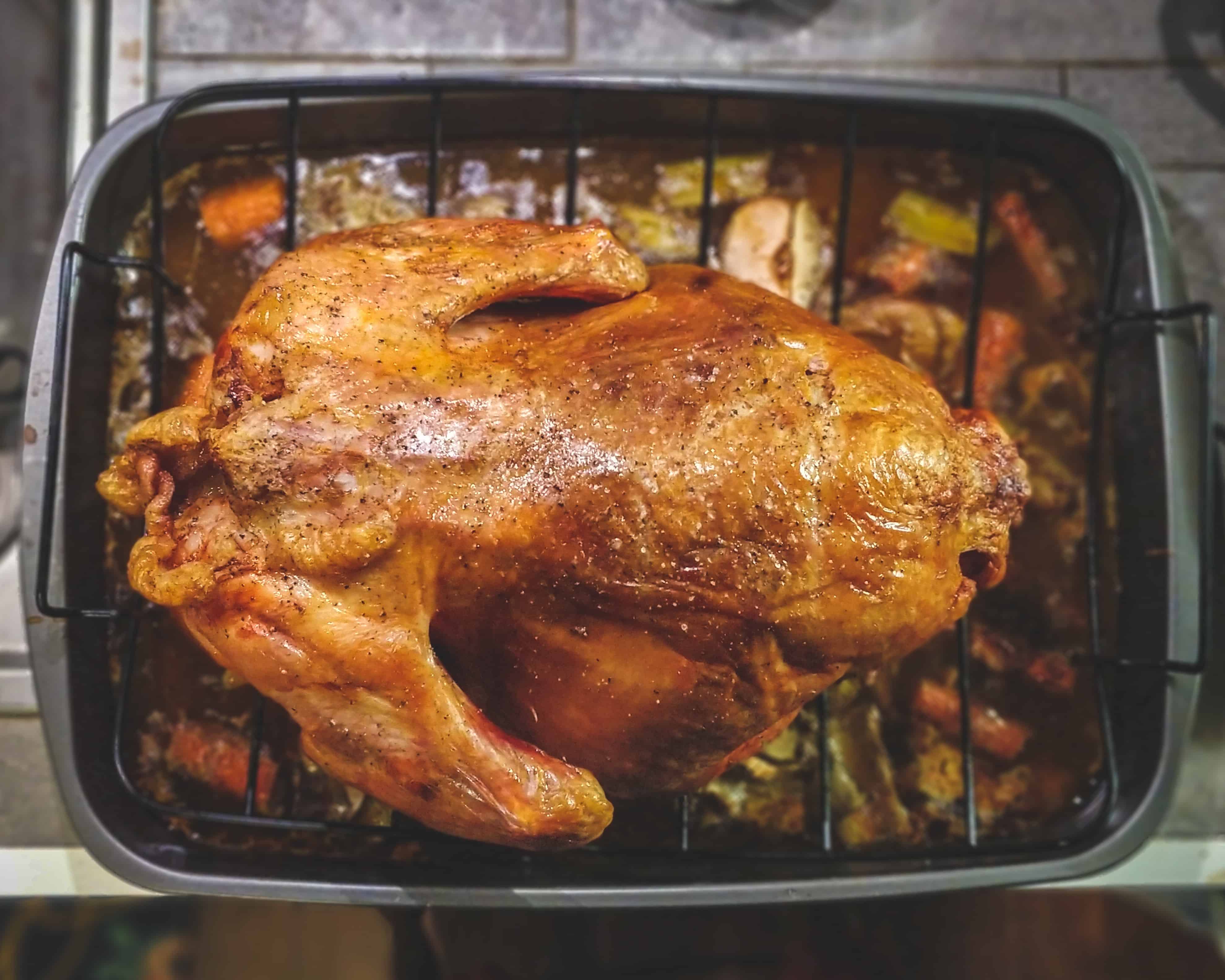 poulet grillé, faits sur le poulet