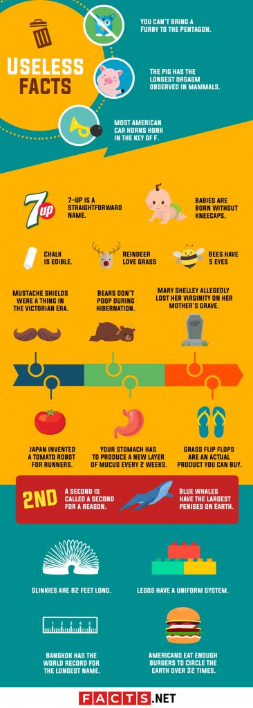 100 Useless Facts That Are Surprisingly True - Facts.net