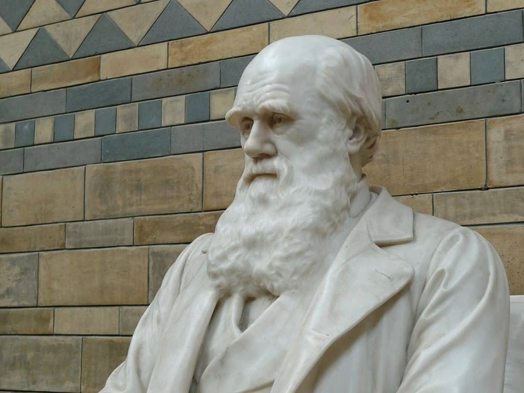 evolution of life charles darwin