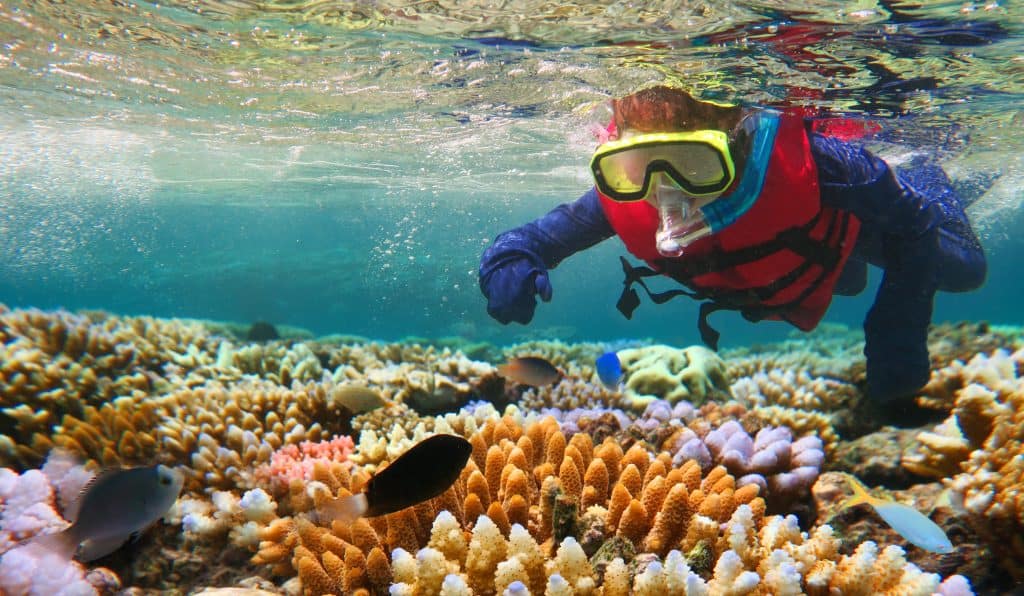 Great Barrier Reef, Plant Facts