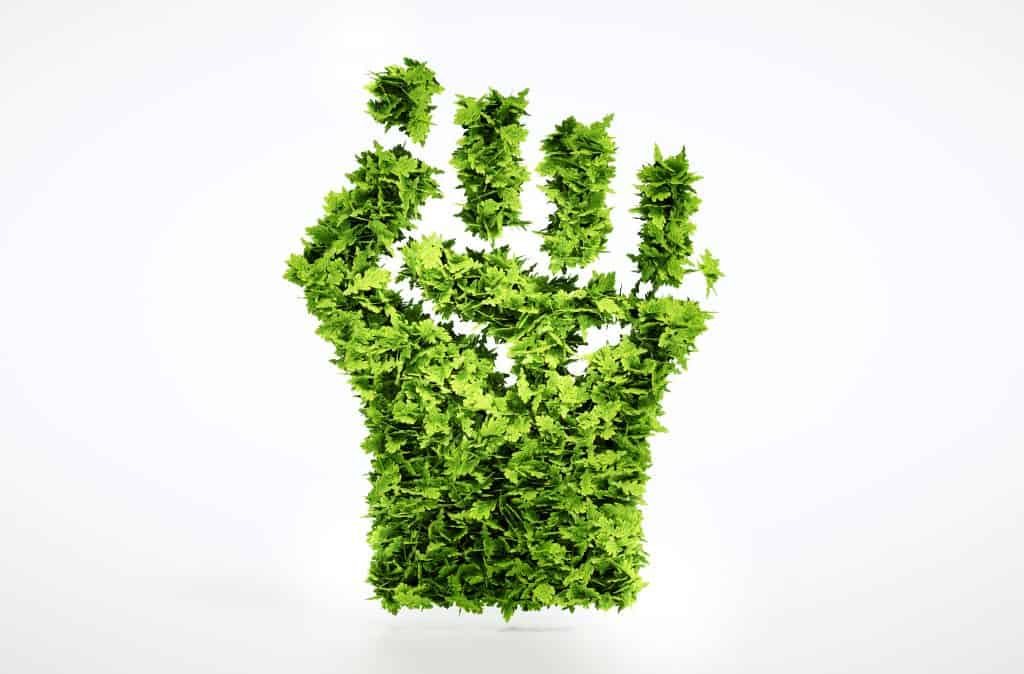 green revolution, technology facts