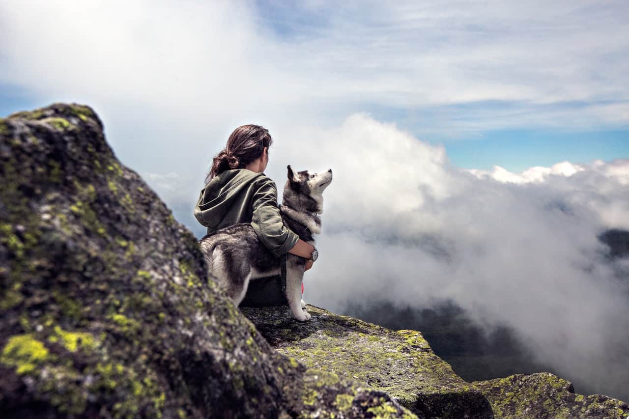 girl, clouds, mountain, husky, siberian husky facts