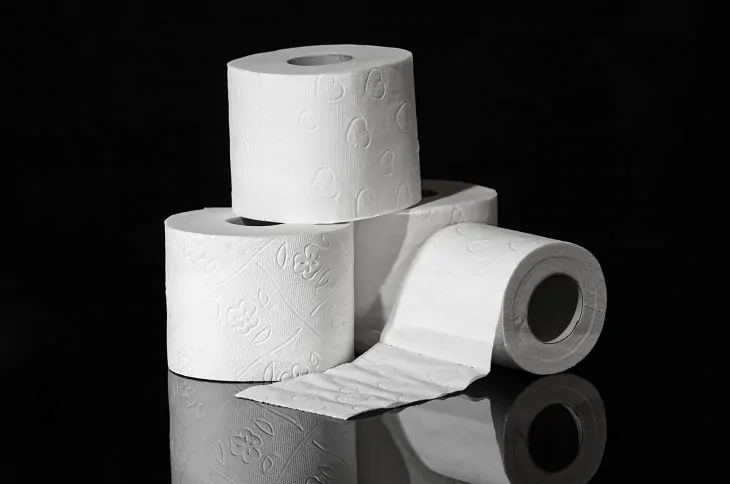 My penis can fit in a toilet paper roll hard. Is that skinny? Some girls  said I have a pencil dick. What is that? - Quora