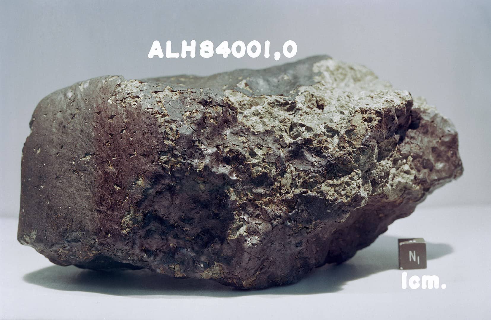 meteorite, antarctica facts