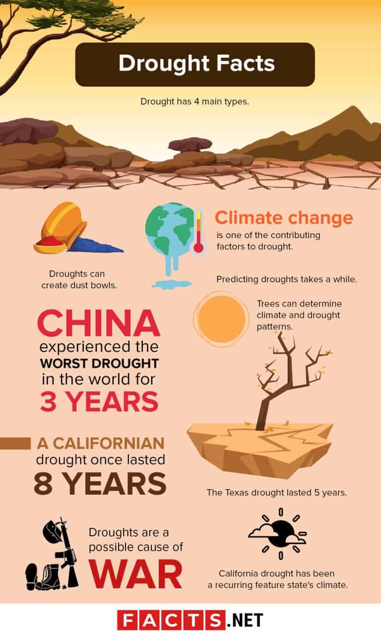 essay about different types of droughts