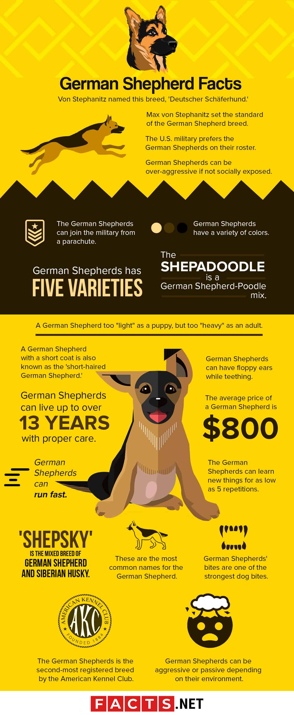 40-german-shepherd-facts-you-never-knew-about