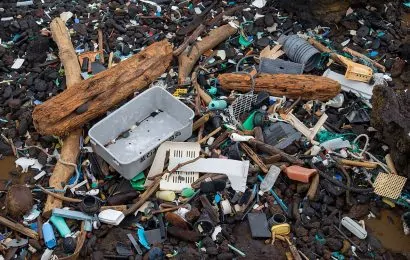 50 Facts About The Great Pacific Garbage Patch 