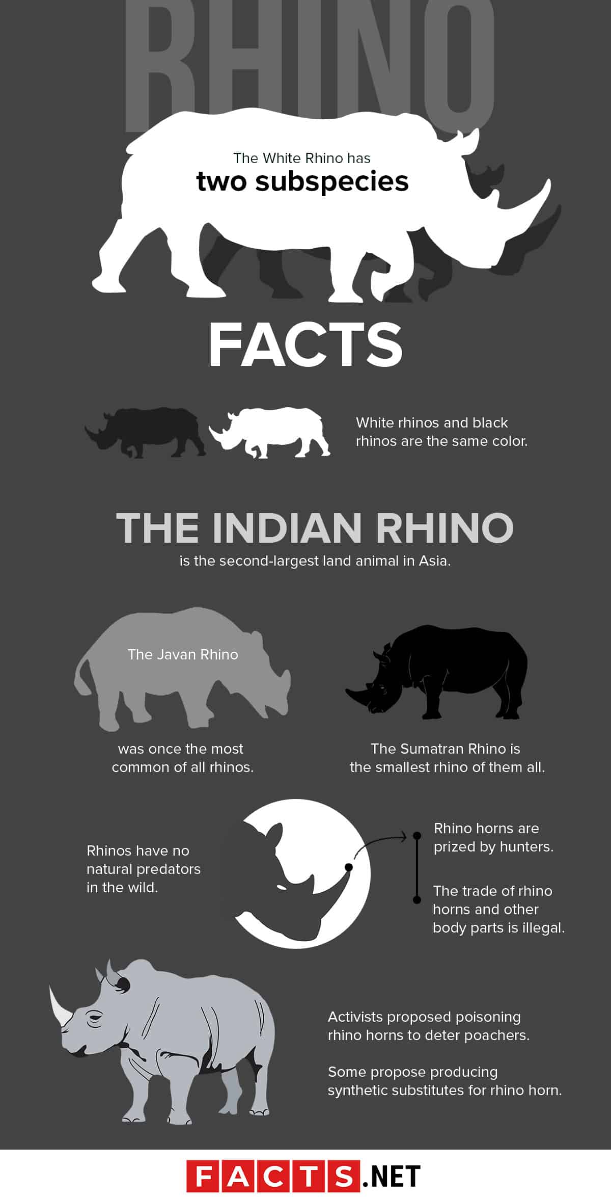 white rhinoceros predators