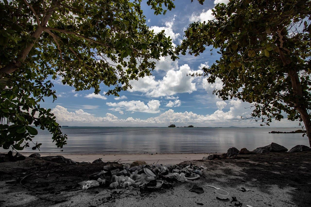 beach, garbage, plastic pollution facts