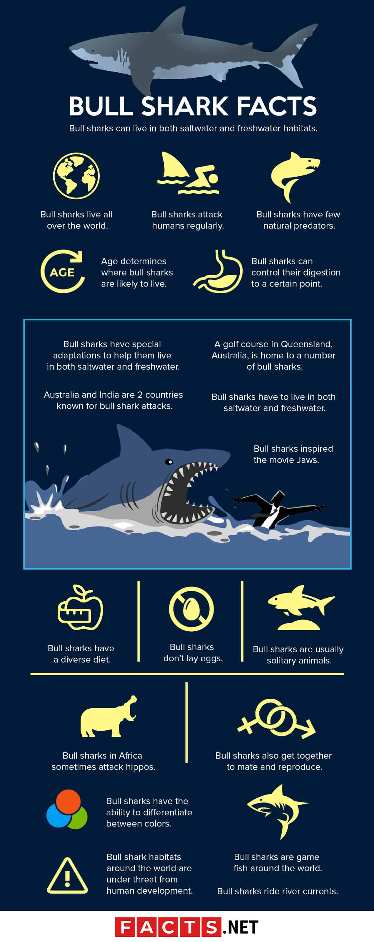 Eight Surprising Shark Facts