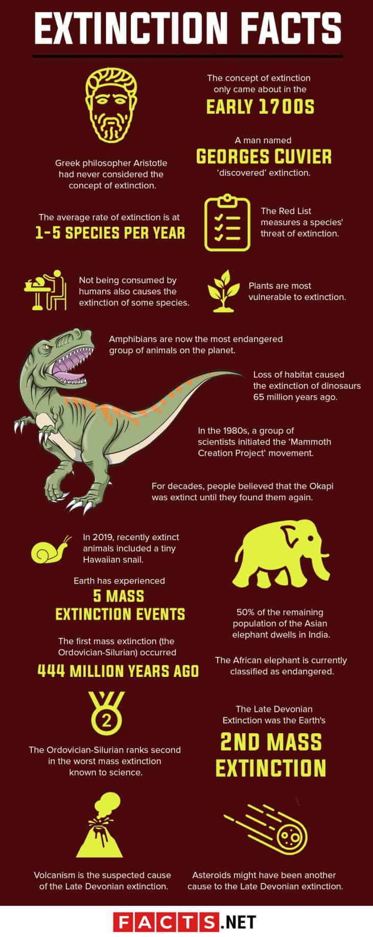 50 Critical Extinction Facts To Know Before It's Too Late