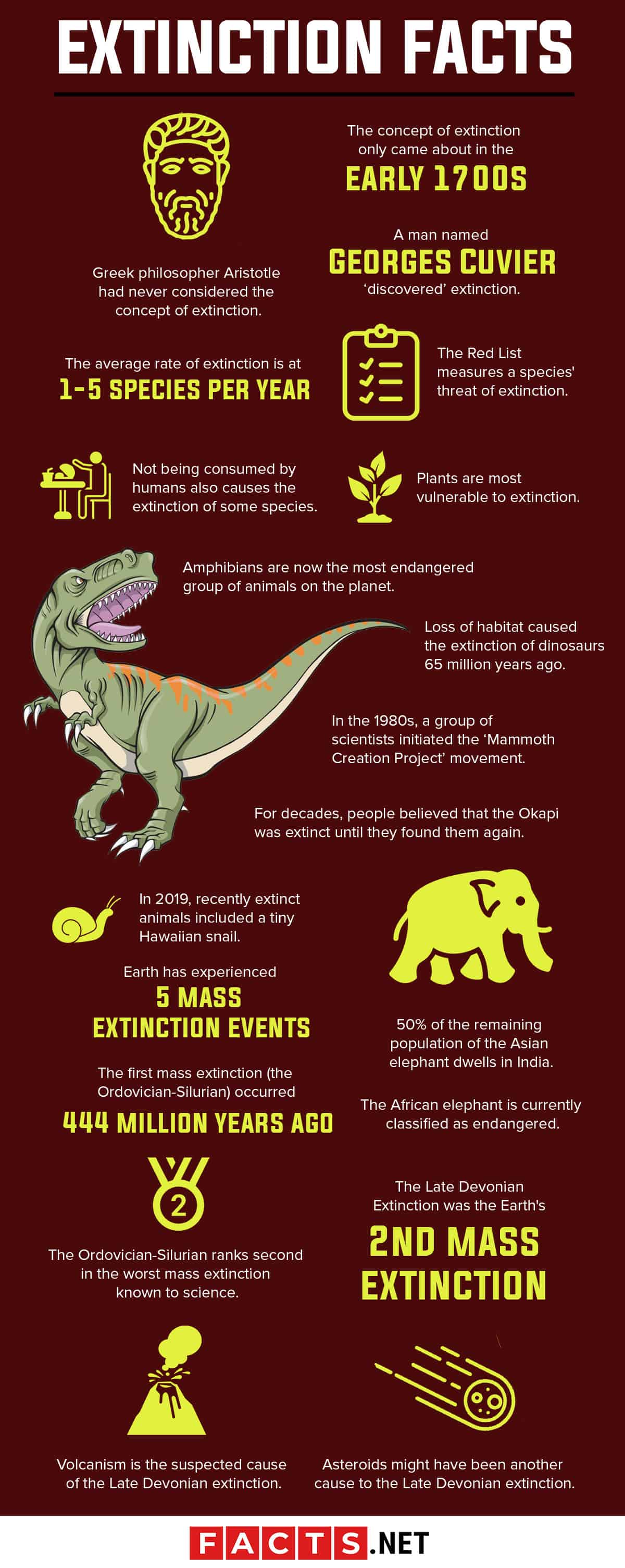50 Critical Extinction Facts To Know Before It's Too Late