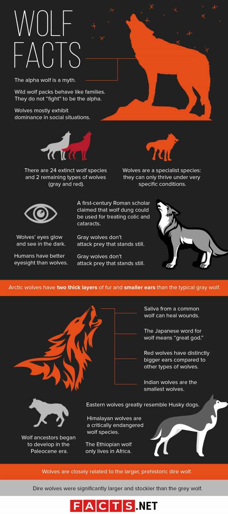 Wolf Fact Sheet