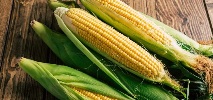 corn, corn facts