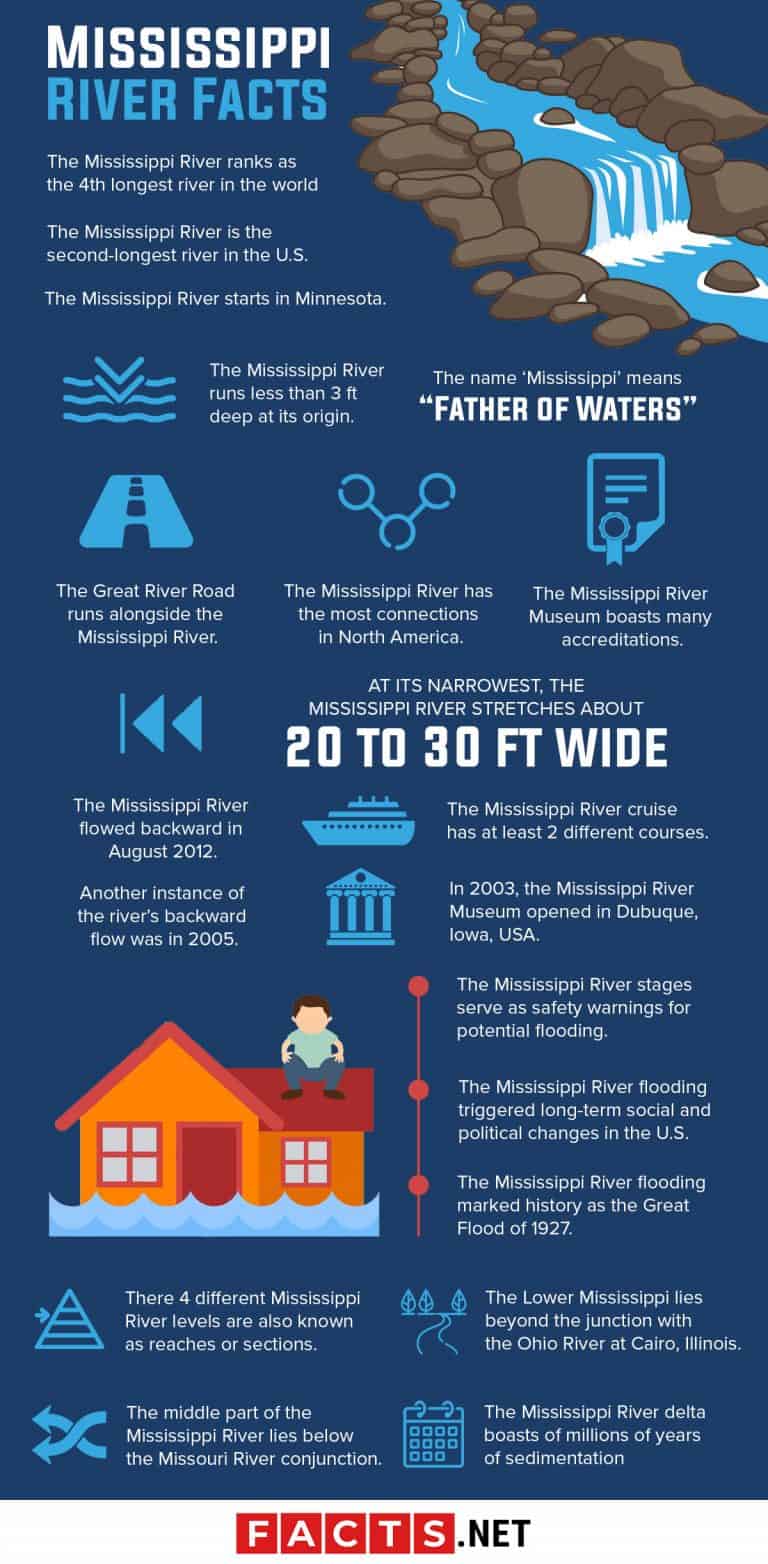 40 Mississippi River Facts You Probably Never Knew About Facts Net   Mississippi River Facts 768x1564 