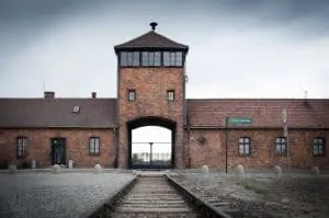 50 Shocking Auschwitz Facts You Dont Learn In History Classes
