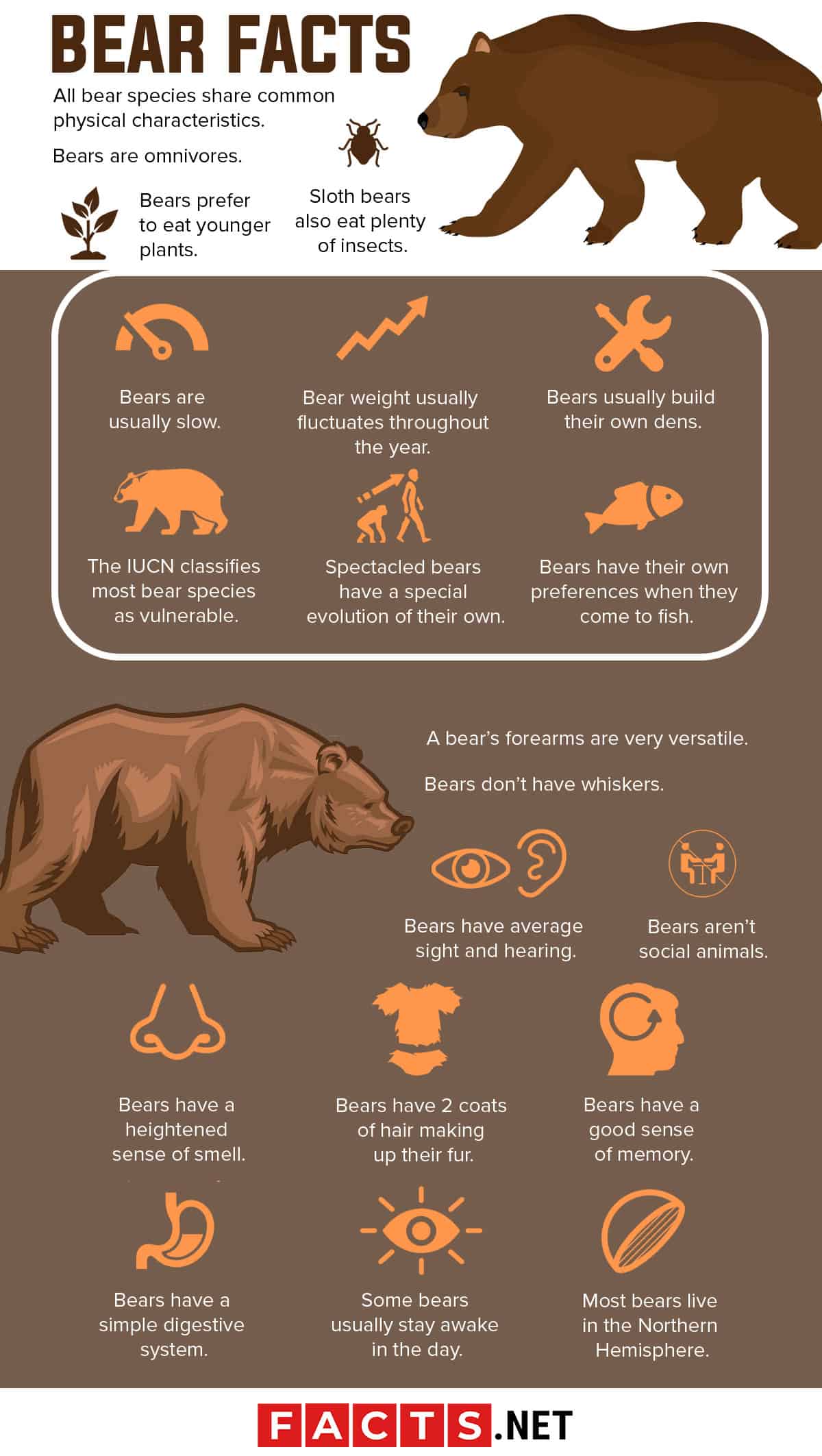 100 Interesting Bear Facts From All Around The World