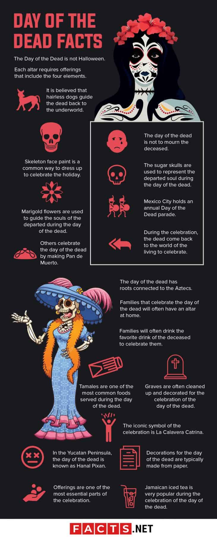 Day Of The Dead Information Poster