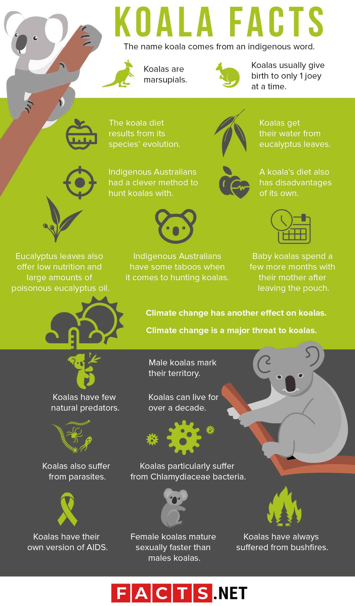 All the reasons to save the koalas : Green + Simple