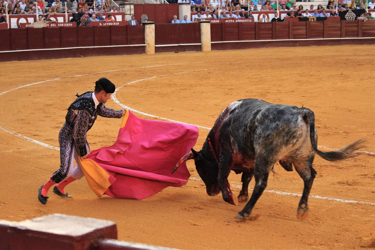 spain facts, bull fighting