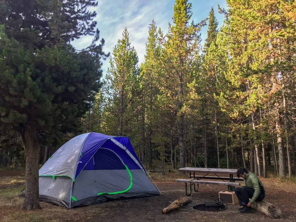 50 Yellowstone National Park Facts You Can't Miss - Facts.net