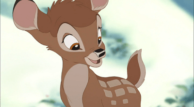 whitetail deer, bambi