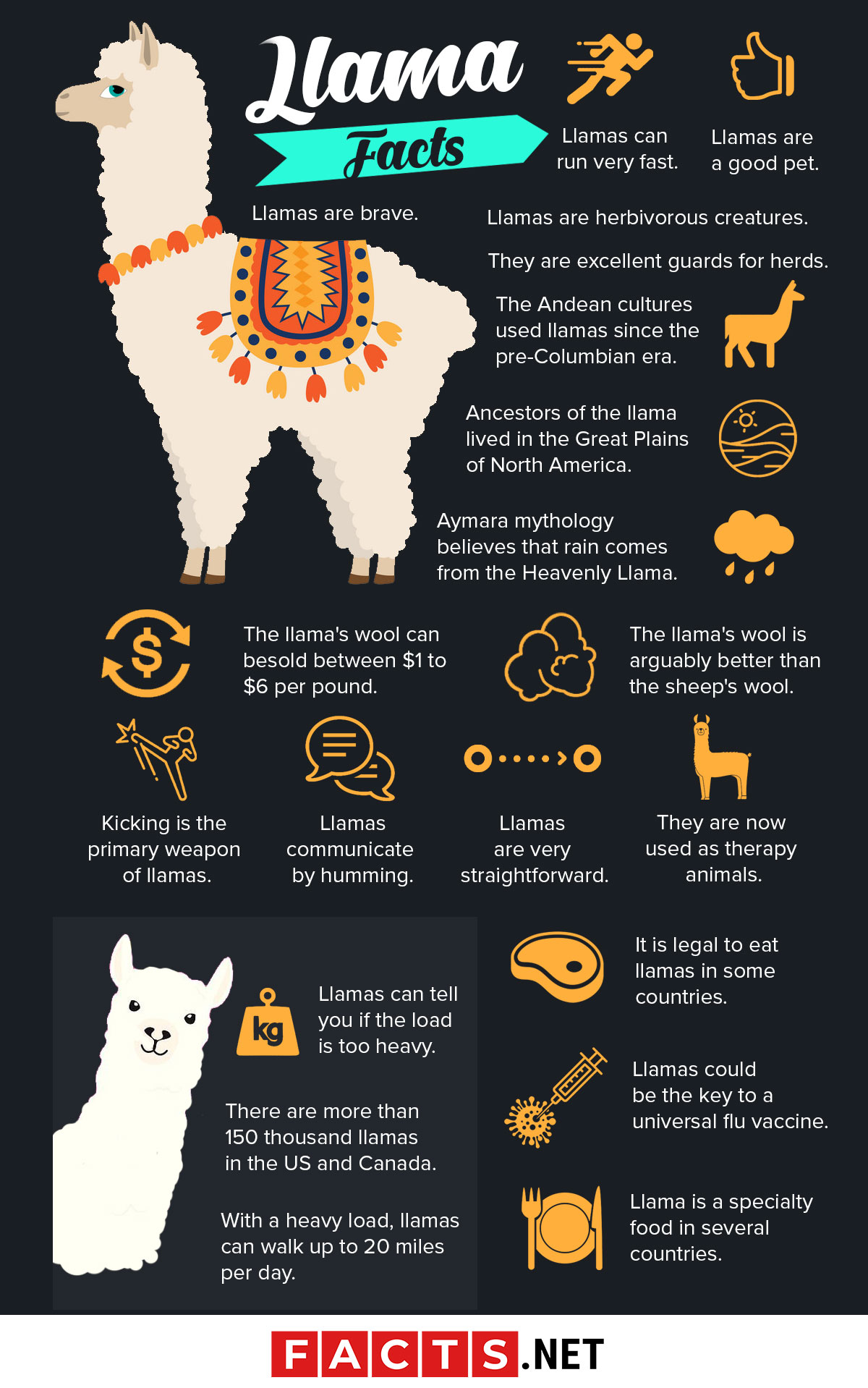 All About Llamas - Facts for Kids 