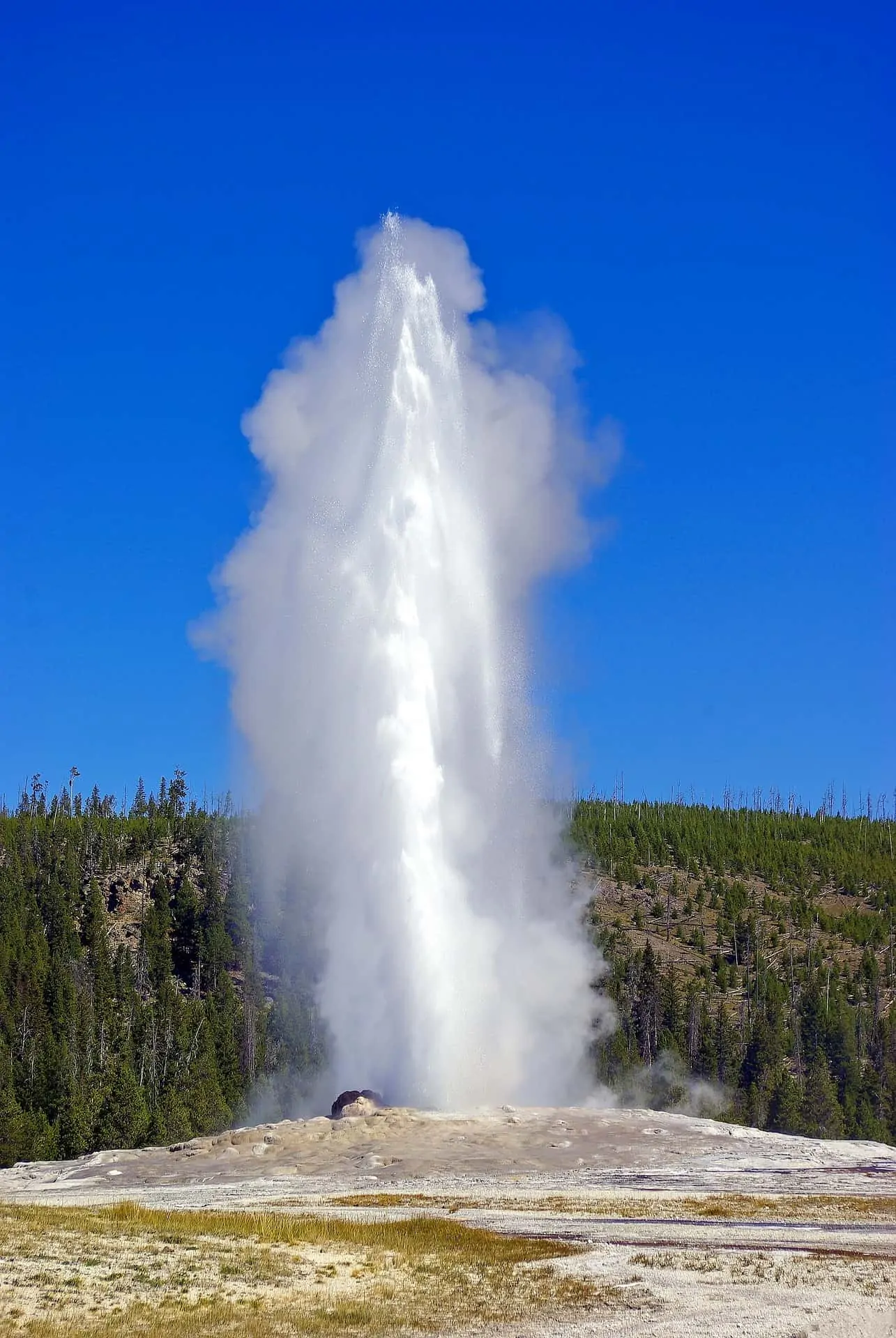 50-yellowstone-national-park-facts-you-can-t-miss-facts