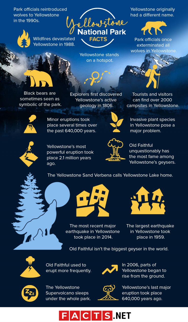 50 Yellowstone National Park Facts You Can't Miss - Facts.net