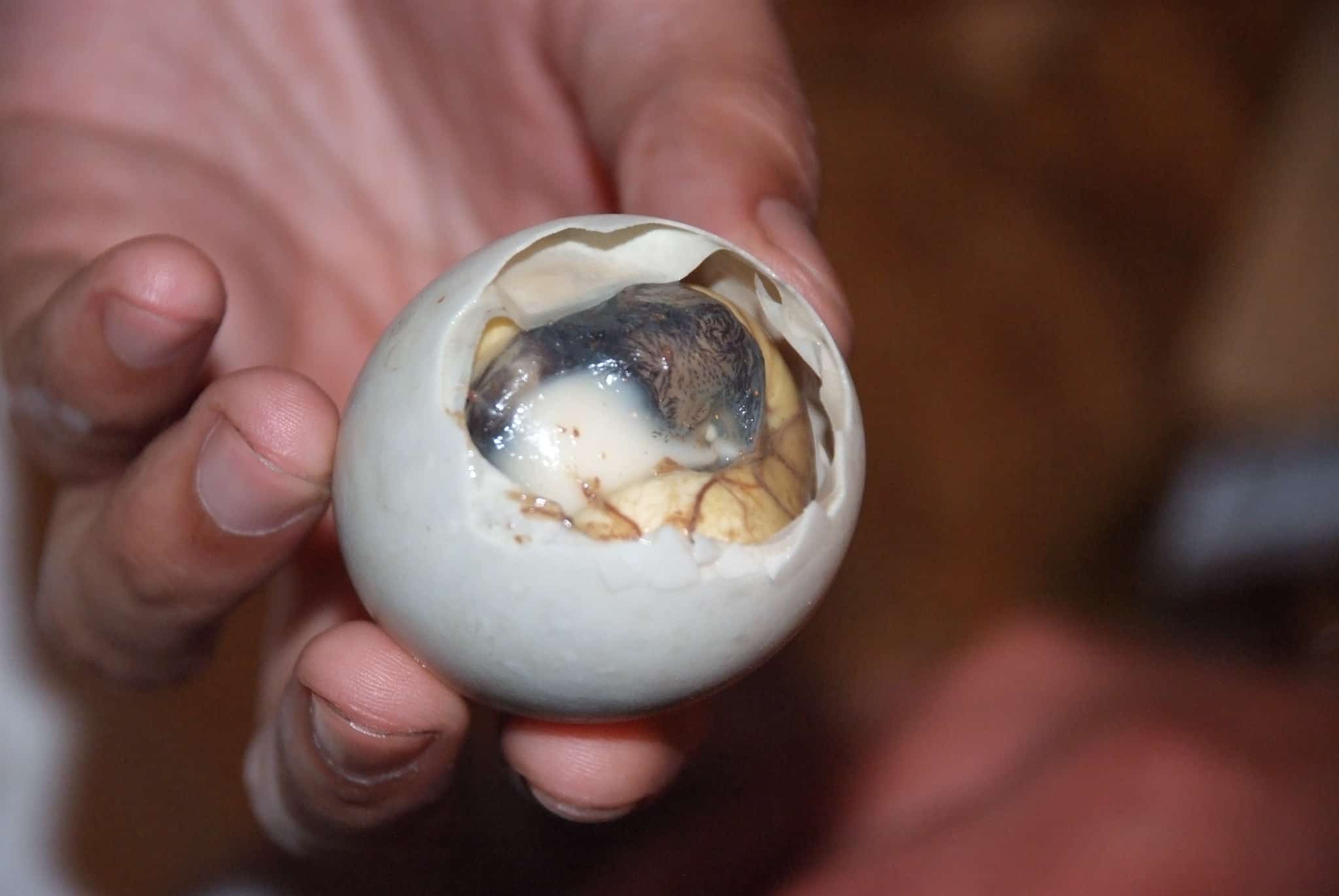 Balut, Balut Egg, Weird Foods