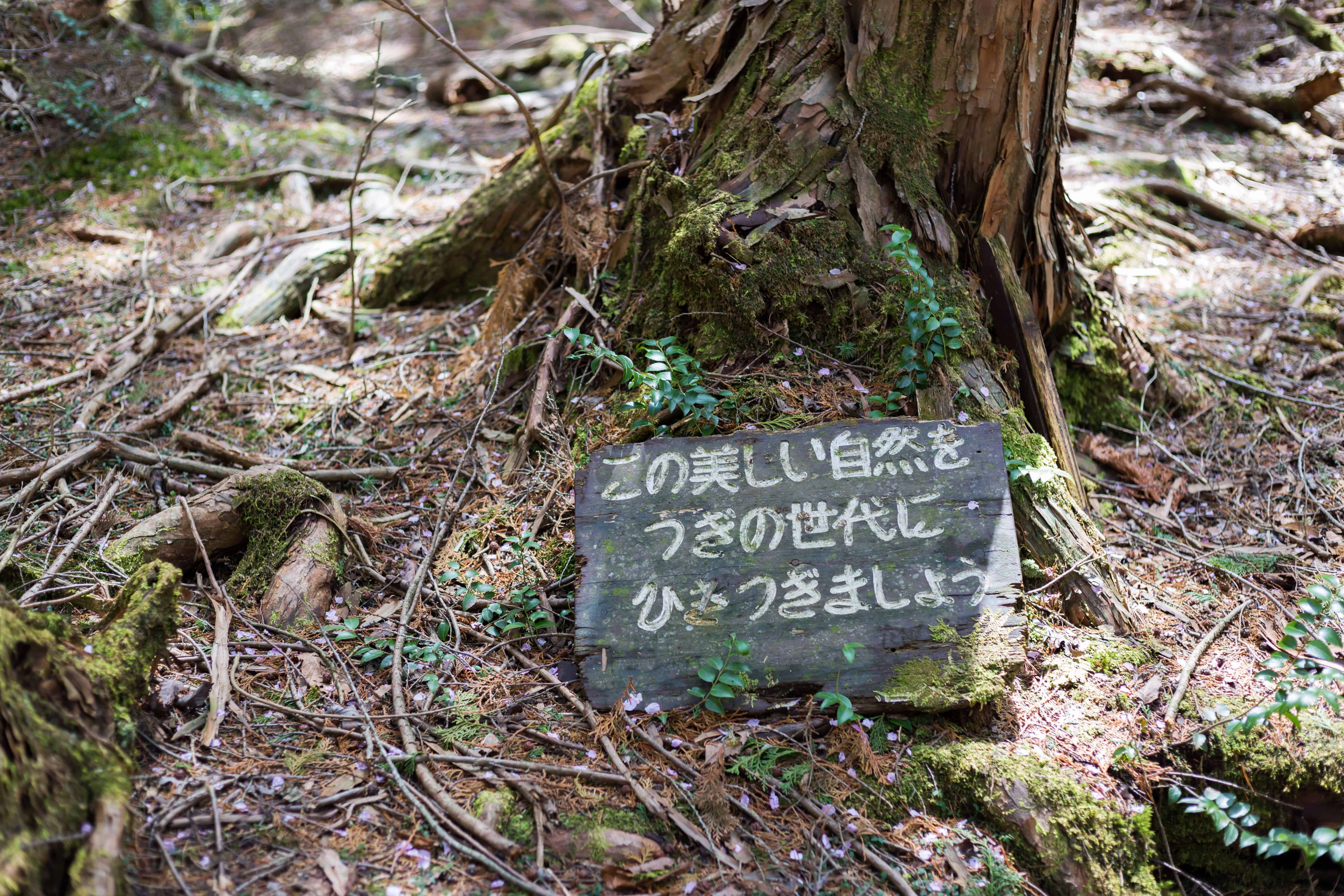 suicide forest signs