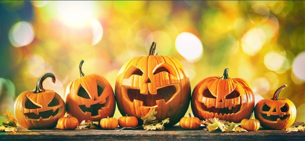 40-fun-jack-o-lantern-facts-for-some-trick-or-treating-facts