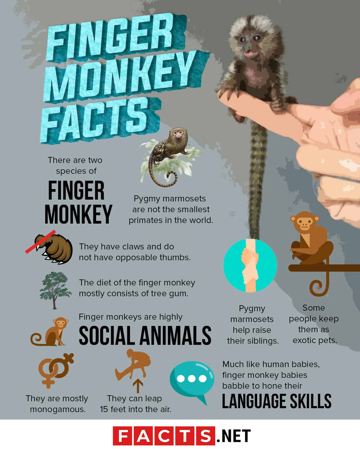 Finger store monkey pet