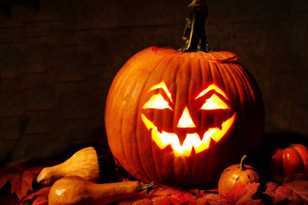 50 Interesting Pumpkin Facts That Will Pump You Up