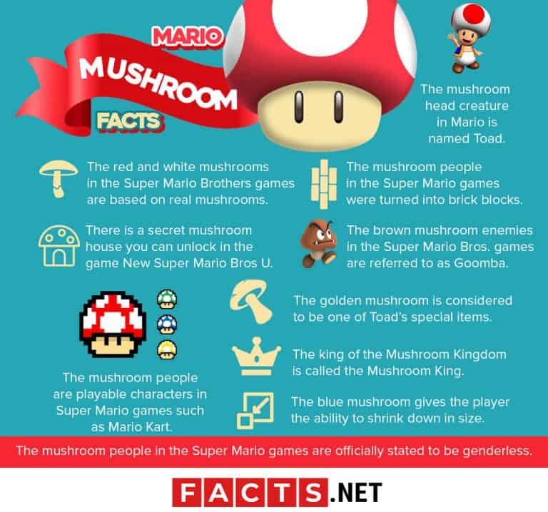 30 Super Mario Mushroom Facts That You May Have Missed As A Kid
